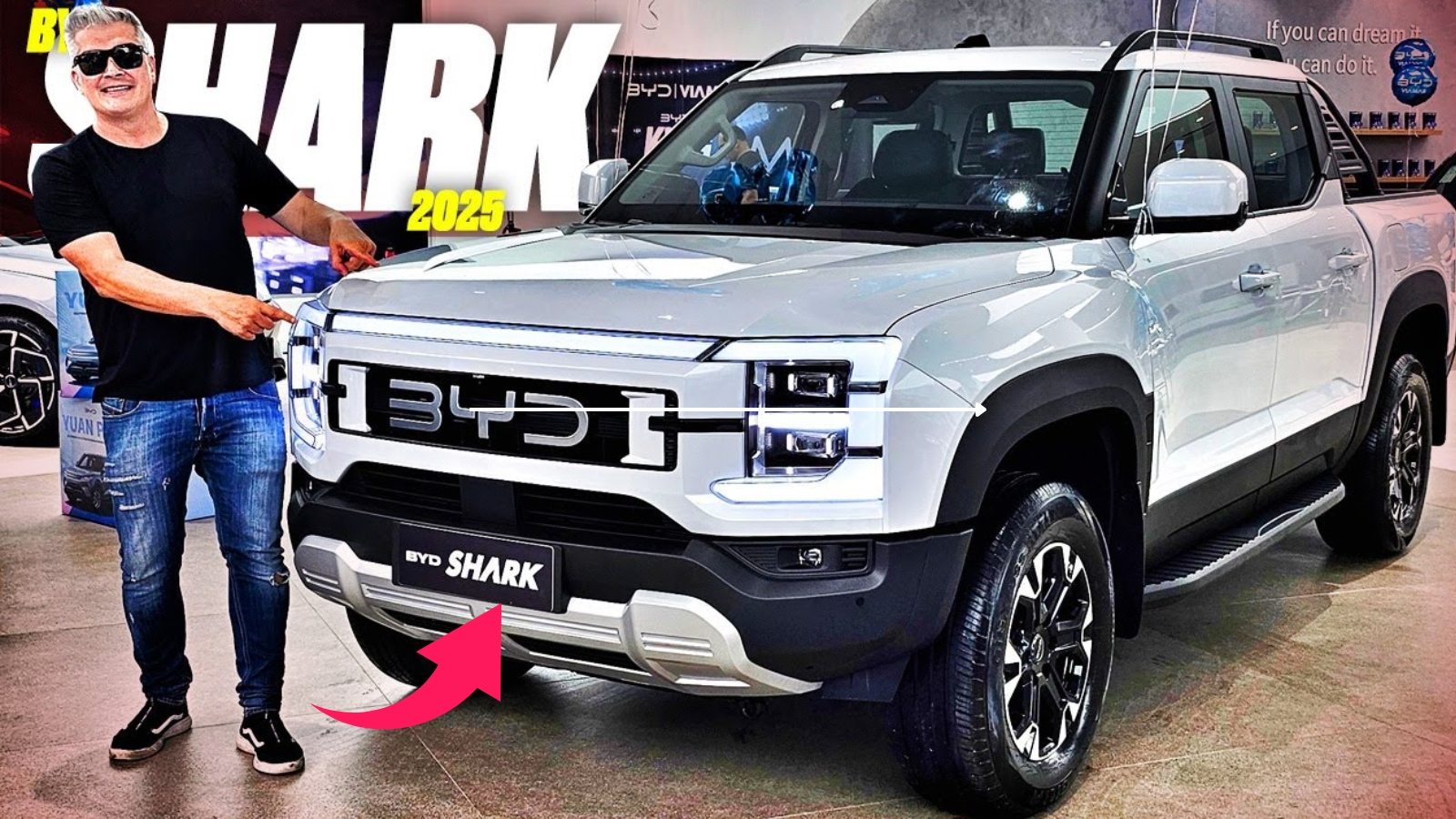 BYD Shark 6