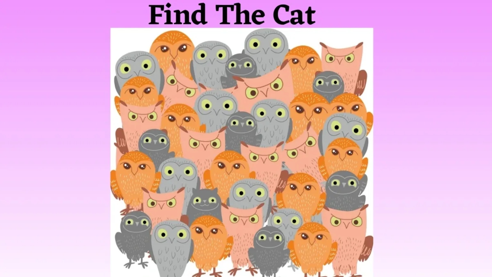 Hidden Cat Optical Illusion