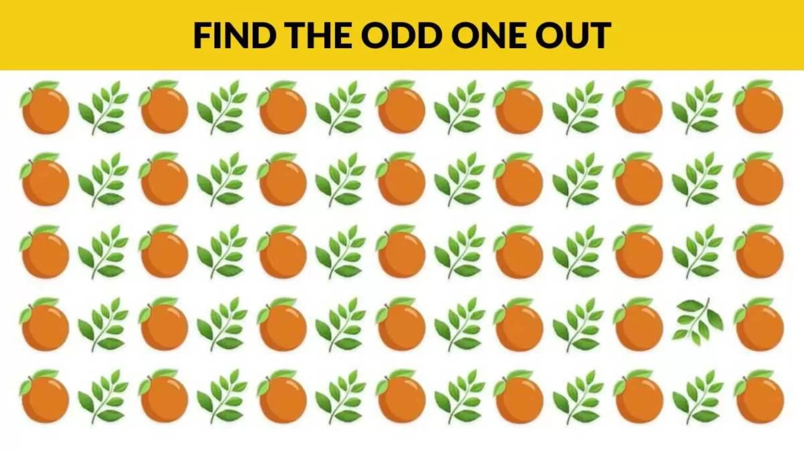 Optical Illusion Puzzle